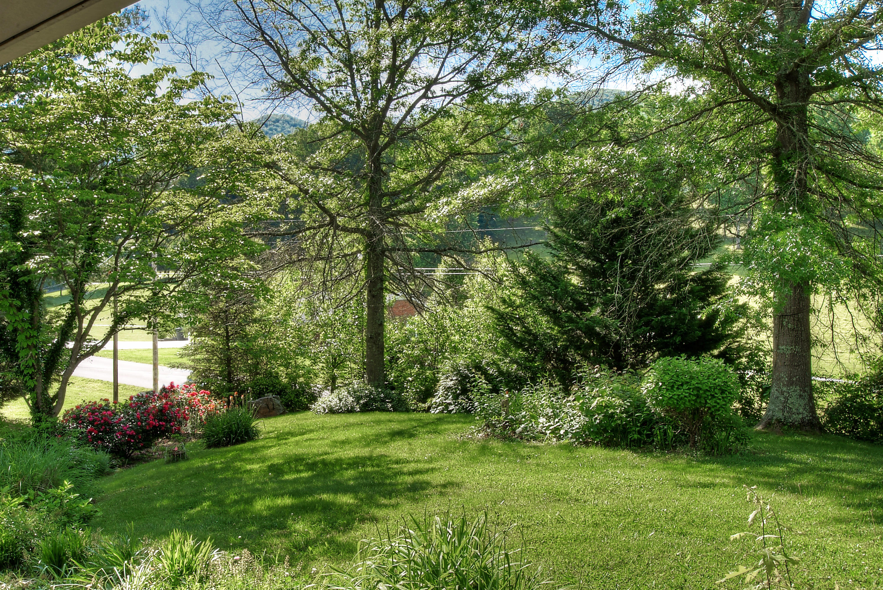 160 Bill Bennett Road Johnson City, TN 37604 - Photo 8 of 39 Lovely Front Yard