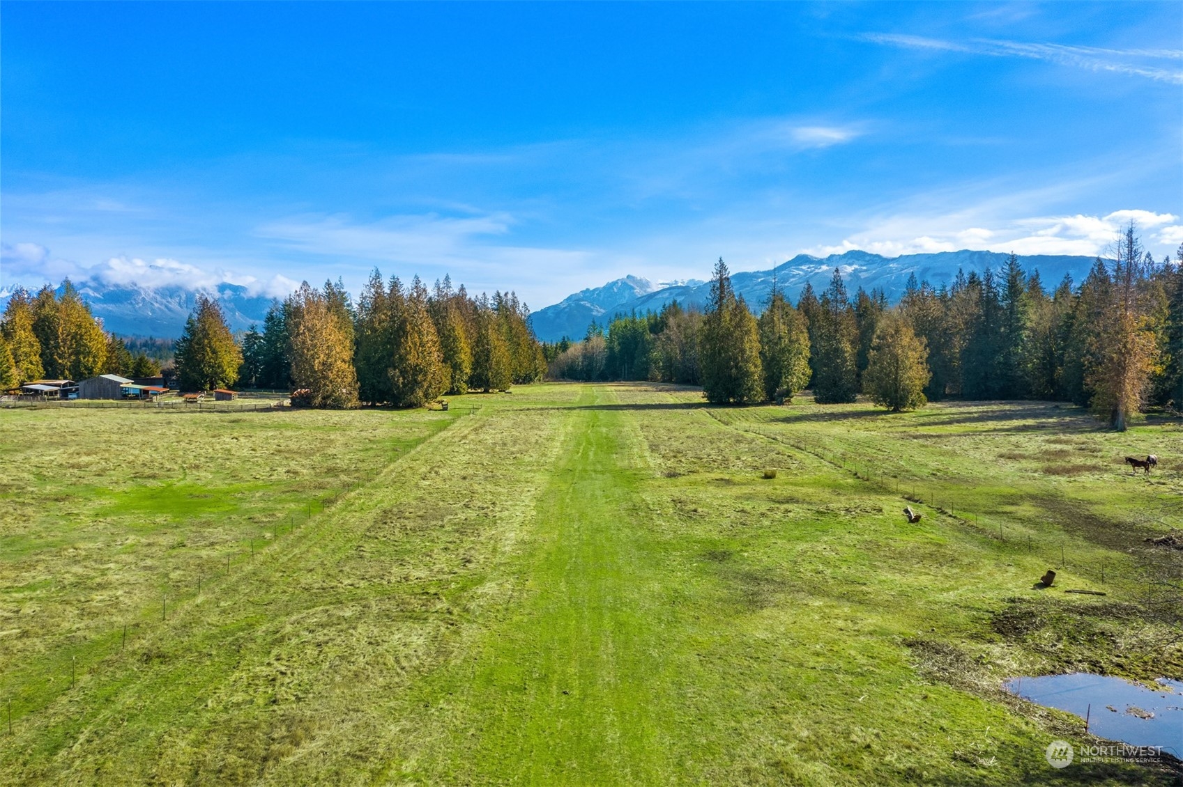 13106 Reiner Road Monroe, WA 98272 - Photo 34 of 37 a view of outdoor space with green field and trees