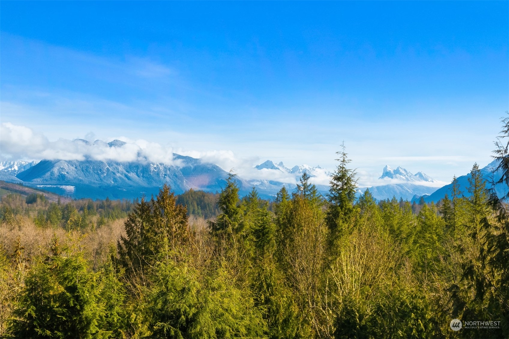 13106 Reiner Road Monroe, WA 98272 - Photo 35 of 37 a view of a lake with a mountain in the background