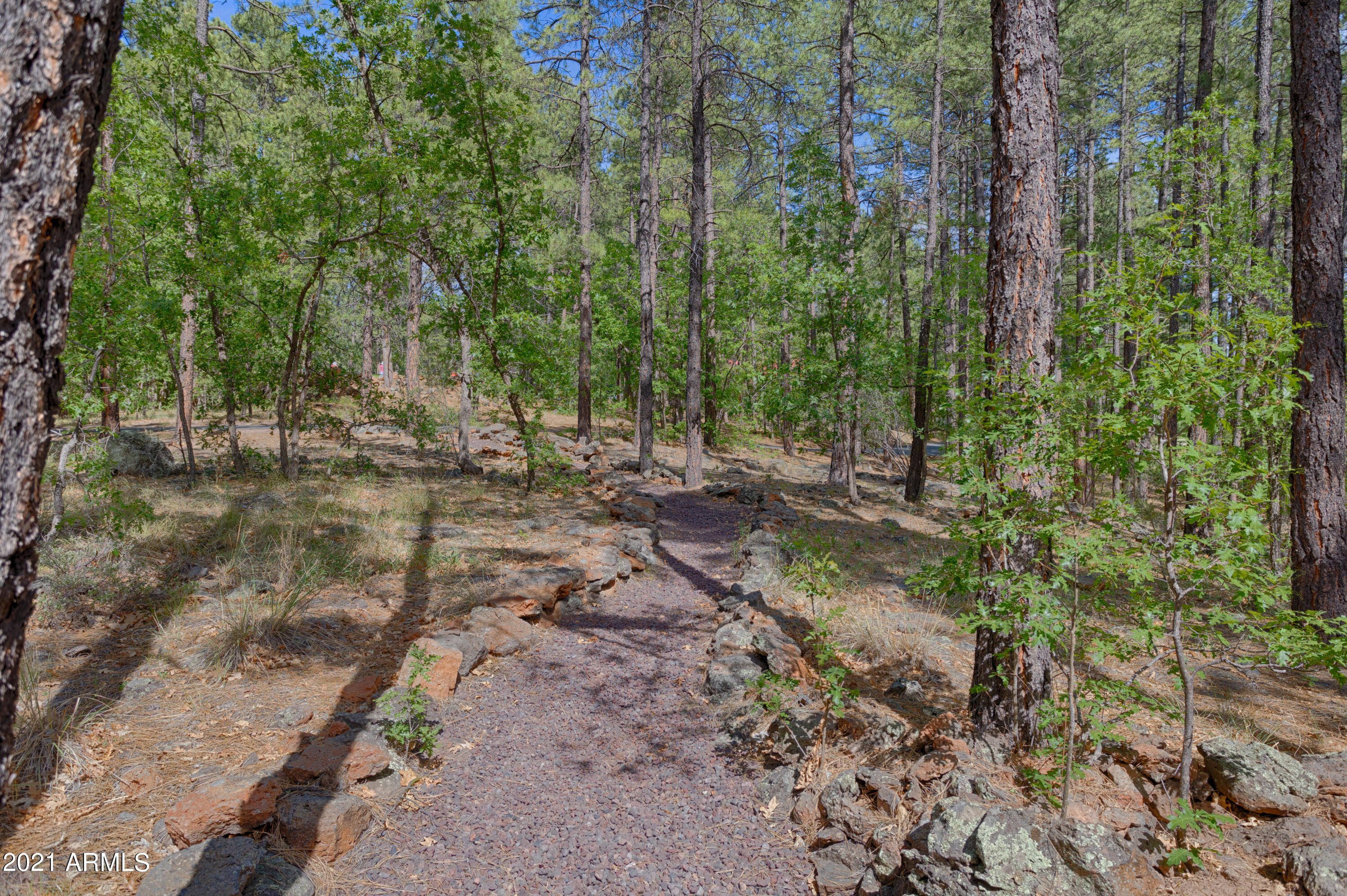 3057 Red Robin Road Pinetop, AZ 85935 - Photo 31 of 34 AP1A8267_HDR