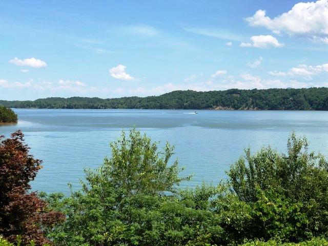 1802 Terry Point Road Dandridge, TN 37725 - Photo 3 of 38 DOUGLAS LAKE VIEWS