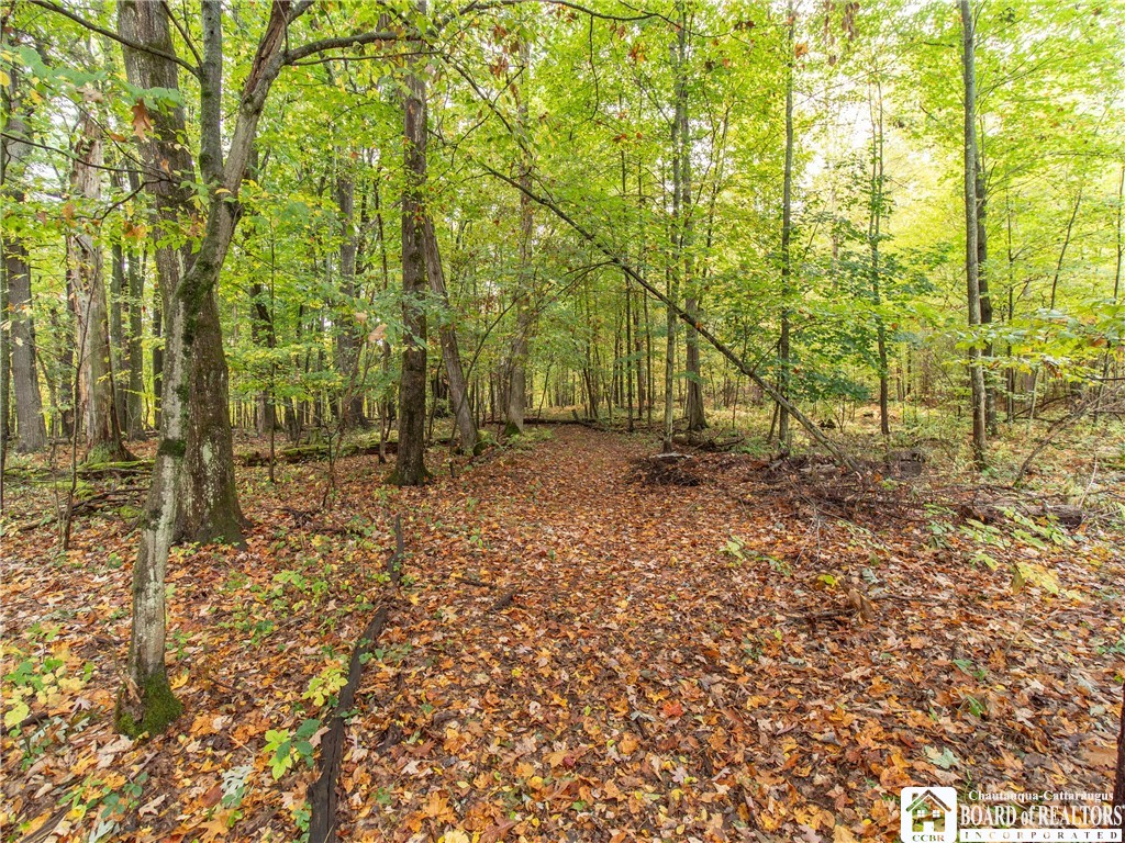 1649 Manchester Road Kiantone, NY 14701 - Photo 26 of 33