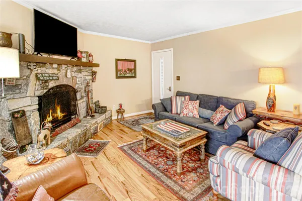 a living room with furniture a flat screen tv and a fireplace