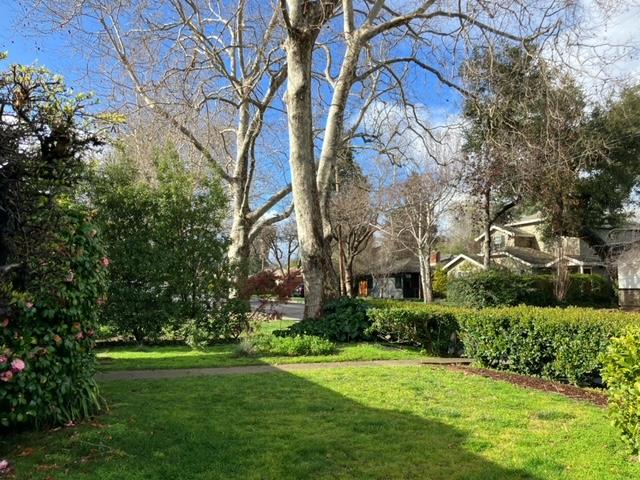 310 McKendry Drive Menlo Park, CA 94025 - Photo 13 of 14 a view of a backyard with garden