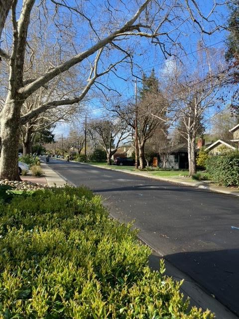 310 McKendry Drive Menlo Park, CA 94025 - Photo 14 of 14 a view of street next to a road