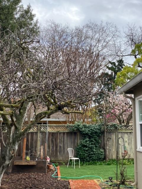 310 McKendry Drive Menlo Park, CA 94025 - Photo 9 of 14 a front view of a house with a yard