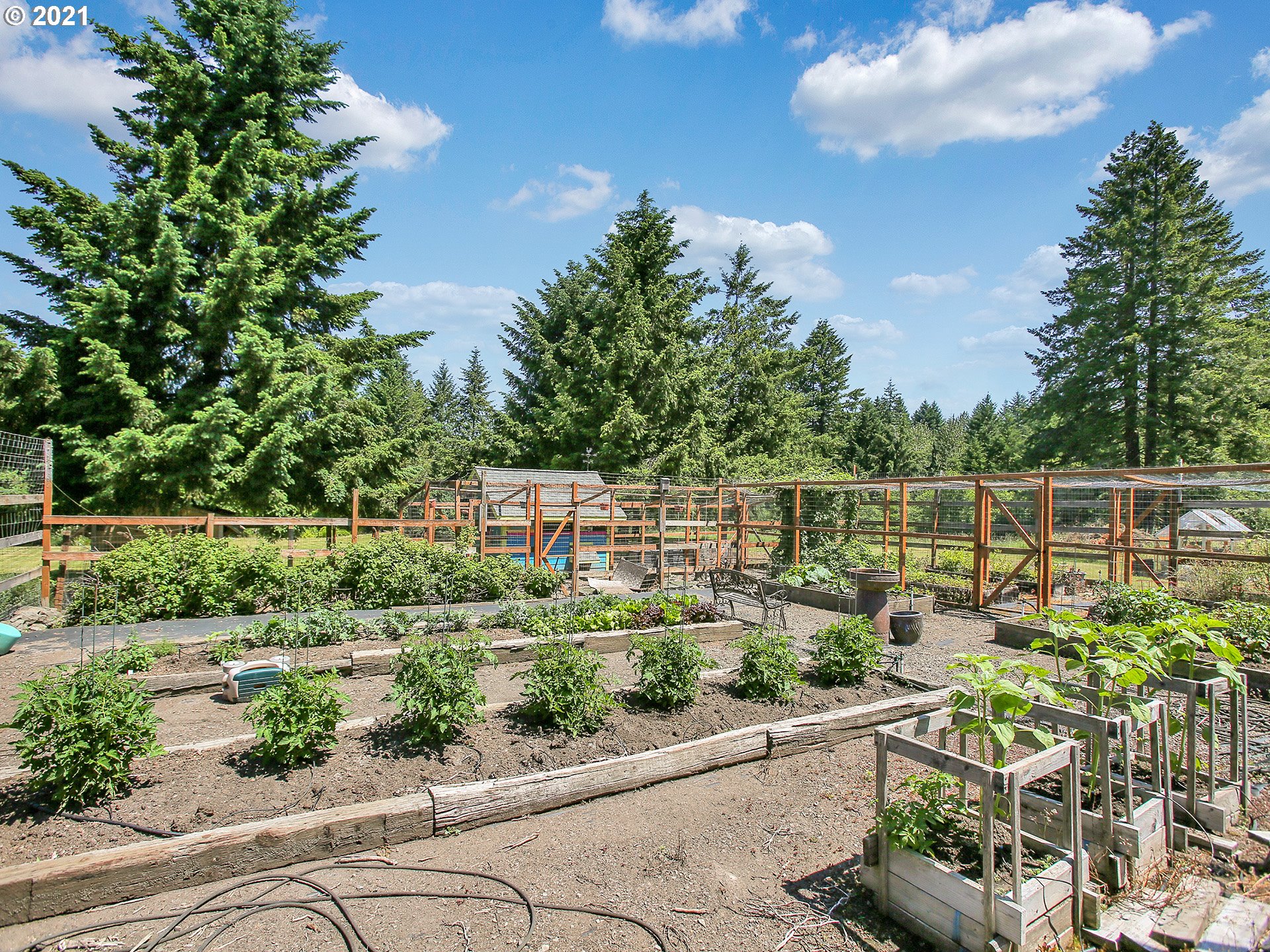 40585 Southeast George Road Estacada, OR 97023 - Photo 22 of 32 Gallery Image 22