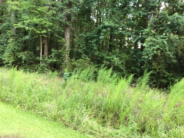 1 Rosa Green Rd, SC 29429