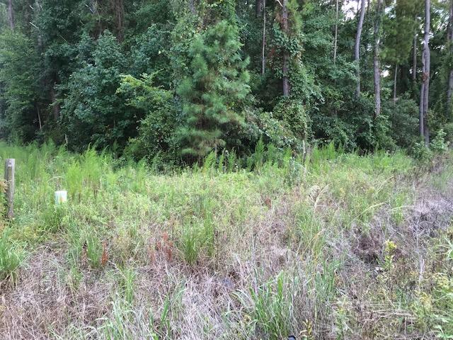 1 Rosa Green Rd, SC 29429