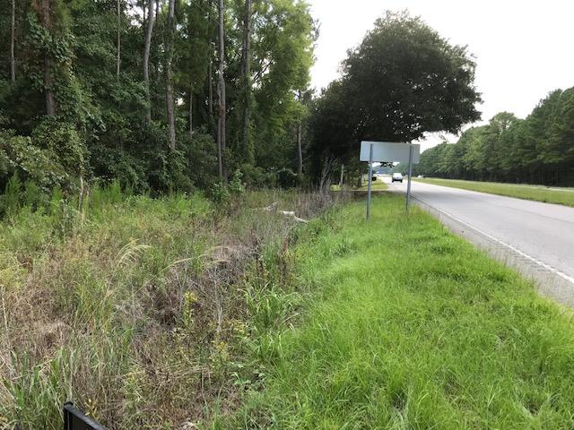 1 Rosa Green Rd, SC 29429