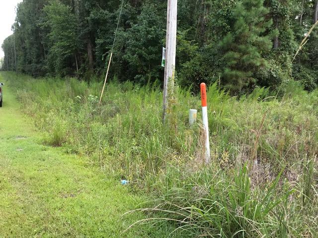1 Rosa Green Rd, SC 29429
