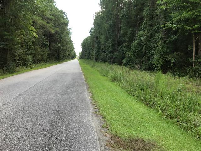 1 Rosa Green Rd, SC 29429