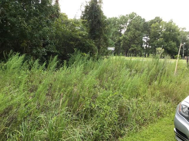 1 Rosa Green Rd, SC 29429