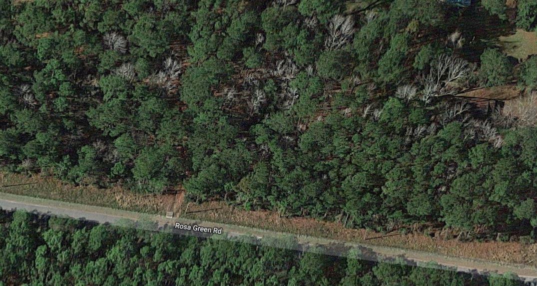 1 Rosa Green Road Awendaw, SC 29429 - Photo 10 of 10 1 Rosa Green Rd, SC 29429