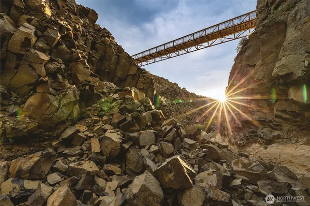 a close up of a plant