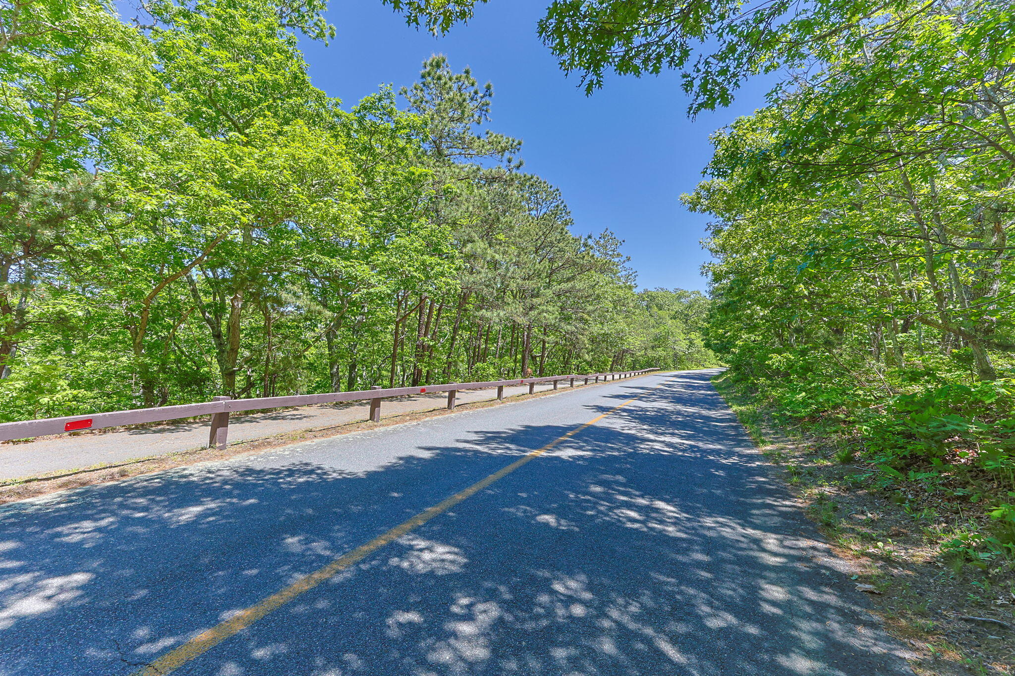 160 Joe Long Road Brewster, MA 02631 - Photo 43 of 47 41-web-or-mls-160-joe-long-rd