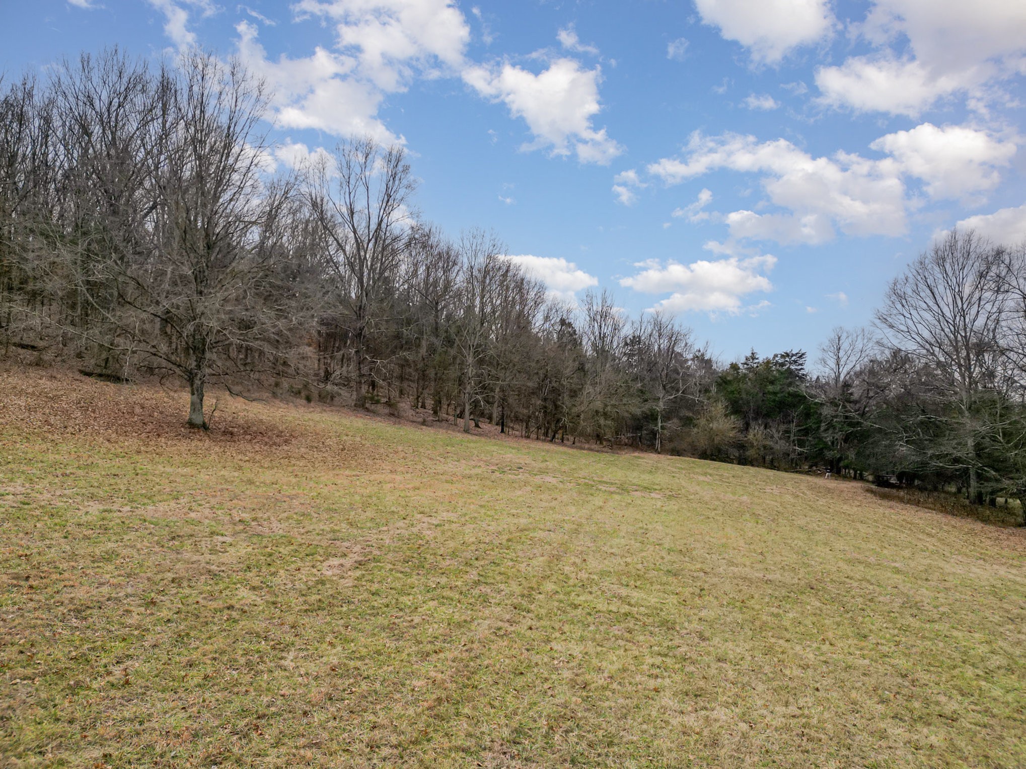 4511 Harpeth School Road Franklin, TN 37064 - Photo 3 of 12 a view of empty field with tree in the background