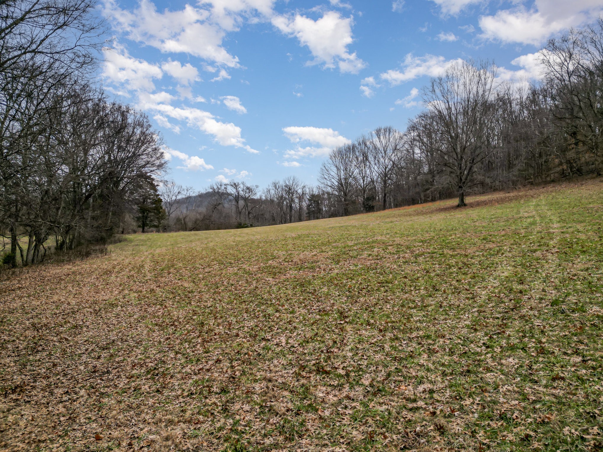 4511 Harpeth School Road Franklin, TN 37064 - Photo 4 of 12 a view of a field with an trees in back