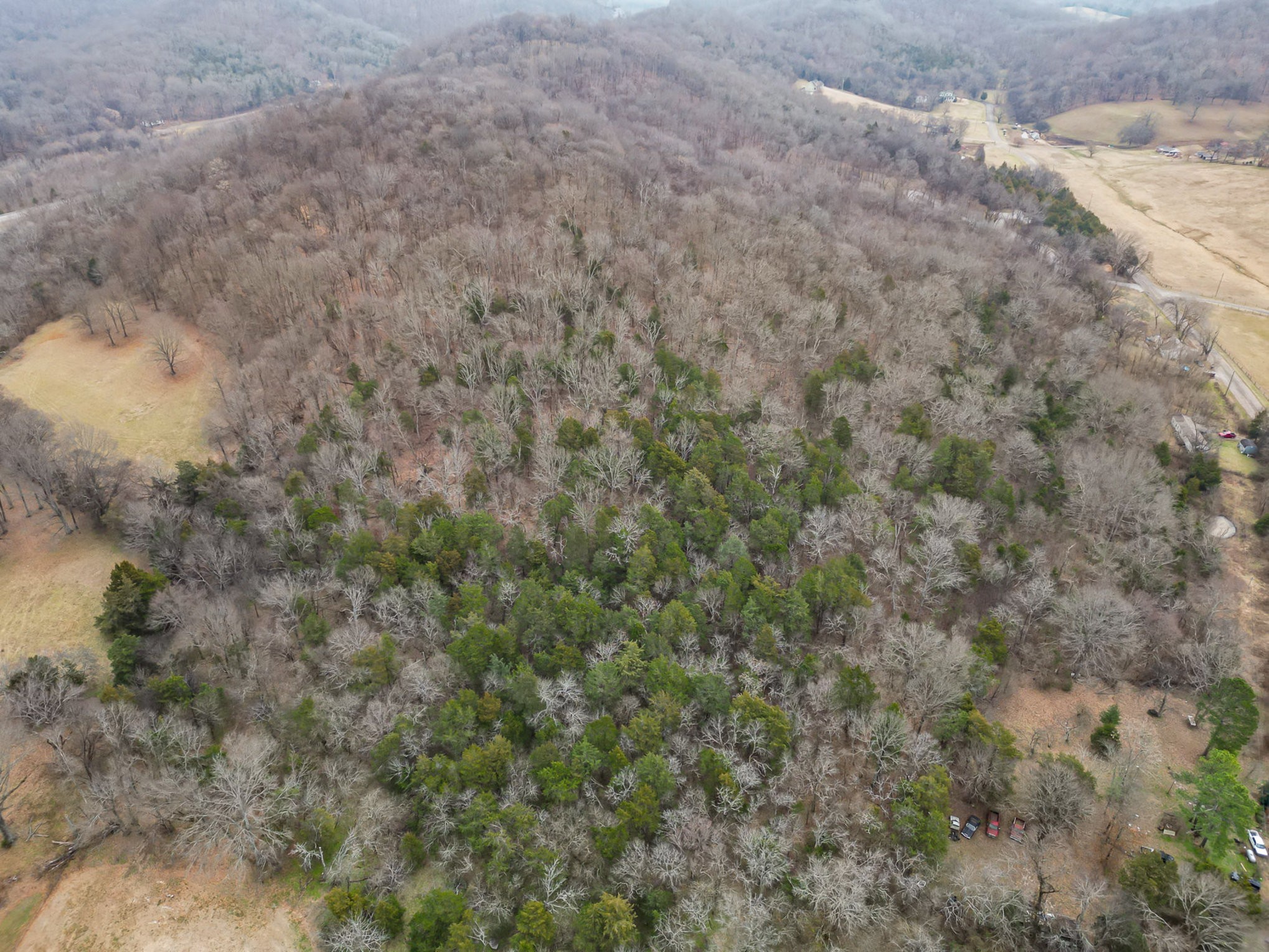4511 Harpeth School Road Franklin, TN 37064 - Photo 7 of 12 a view of a dry field