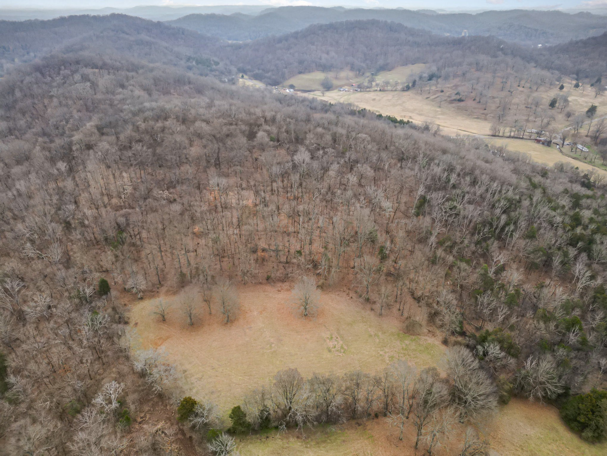 4511 Harpeth School Road Franklin, TN 37064 - Photo 8 of 12 a view of a dry yard