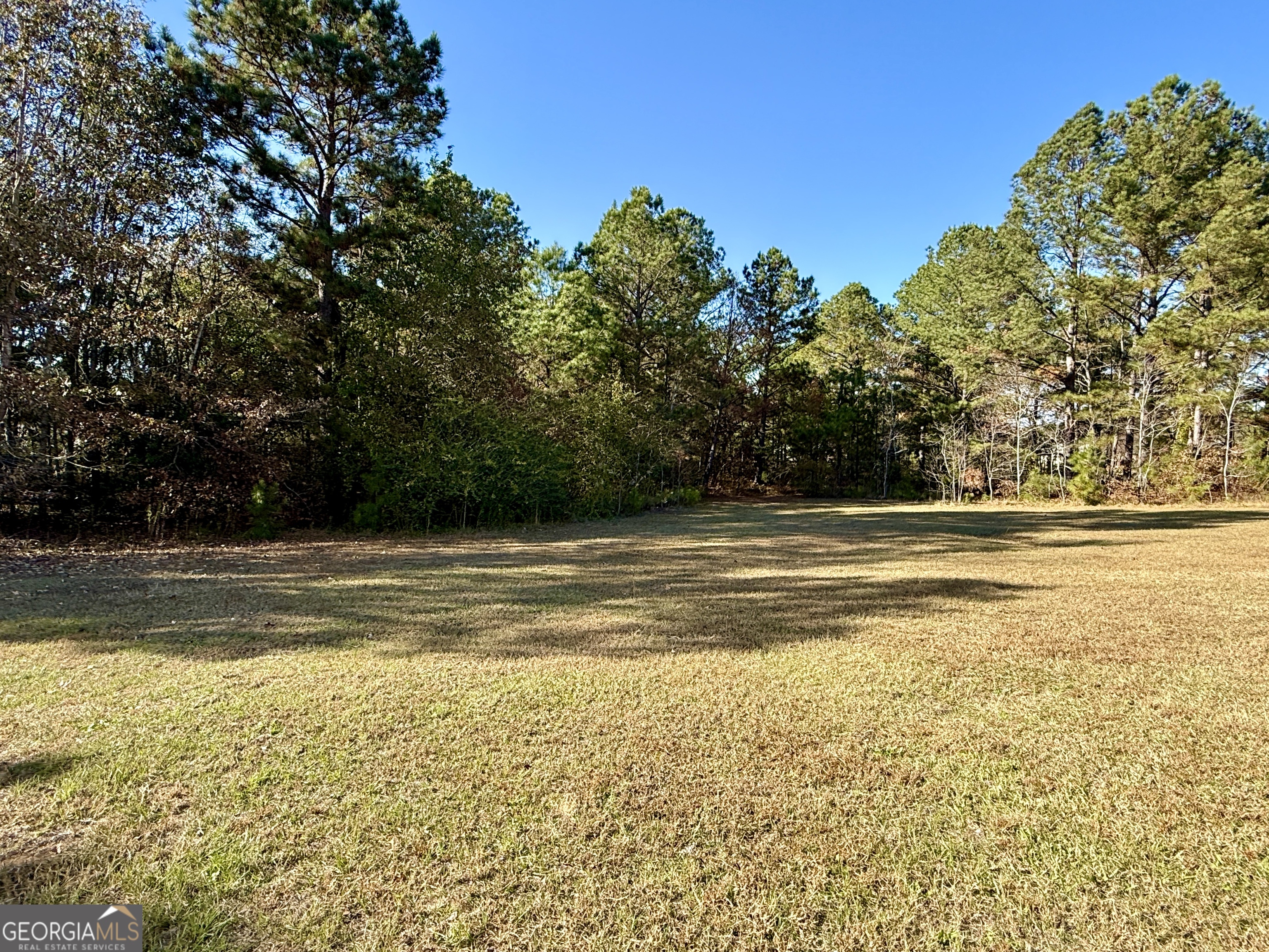 10199 Ga Highway Stapleton, GA 30823 - Photo 30 of 30 a view of a swimming pool with an outdoor space and seating area