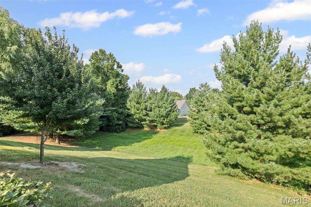 4802 Azalea Place Alton, IL 62002 - Photo 4 of 36