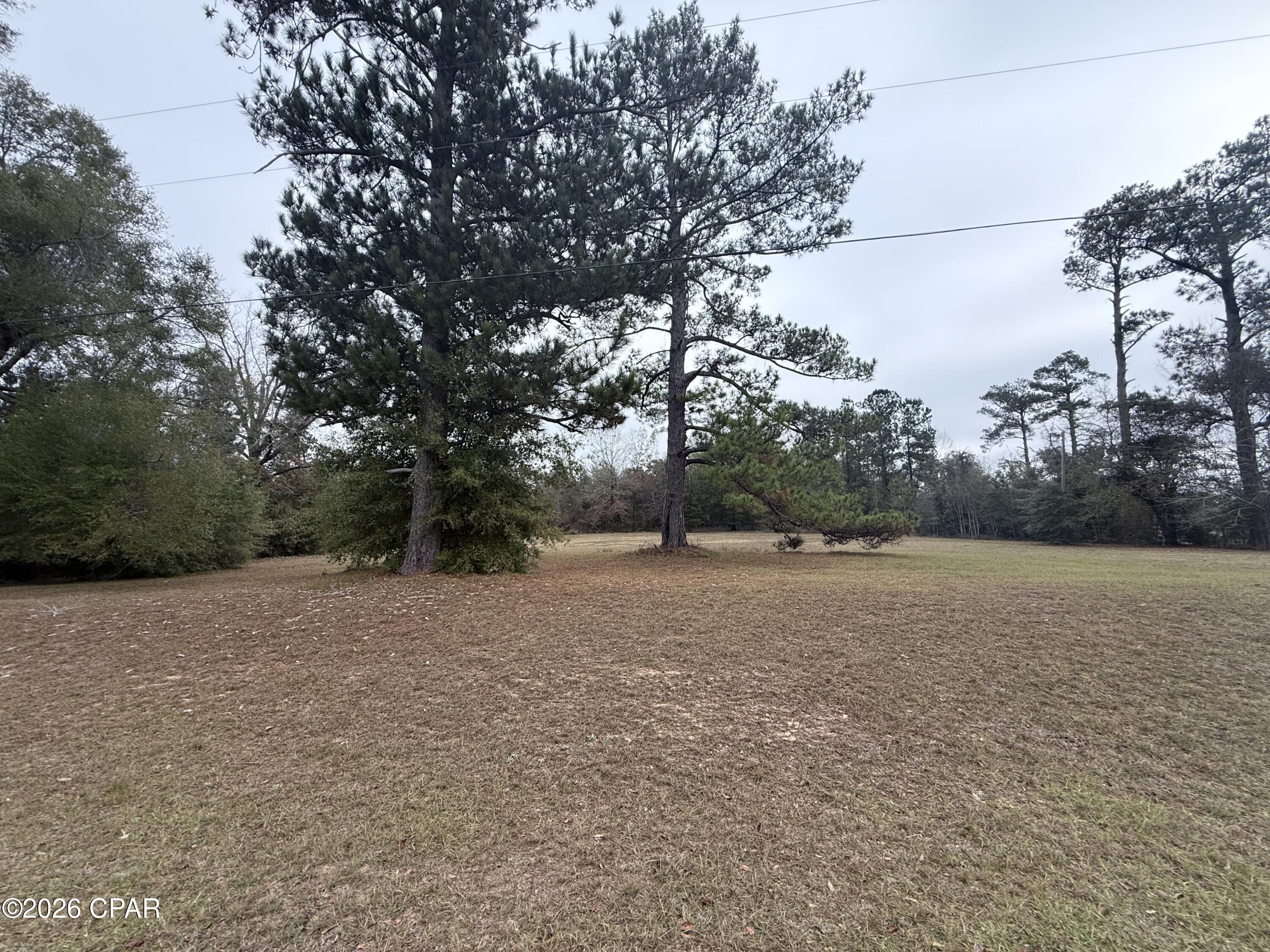 2054 Dairy Road Sneads, FL 32460 - Photo 1 of 3