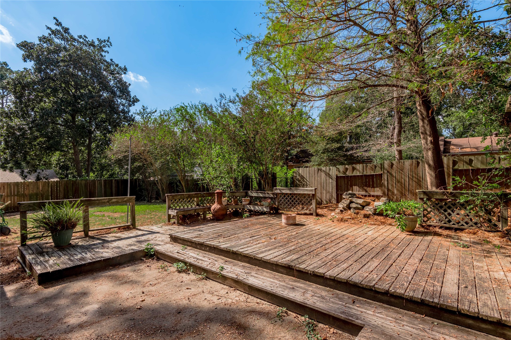 3644 Sage Street Huntsville, TX 77340 - Photo 19 of 20 a view of a park with large trees