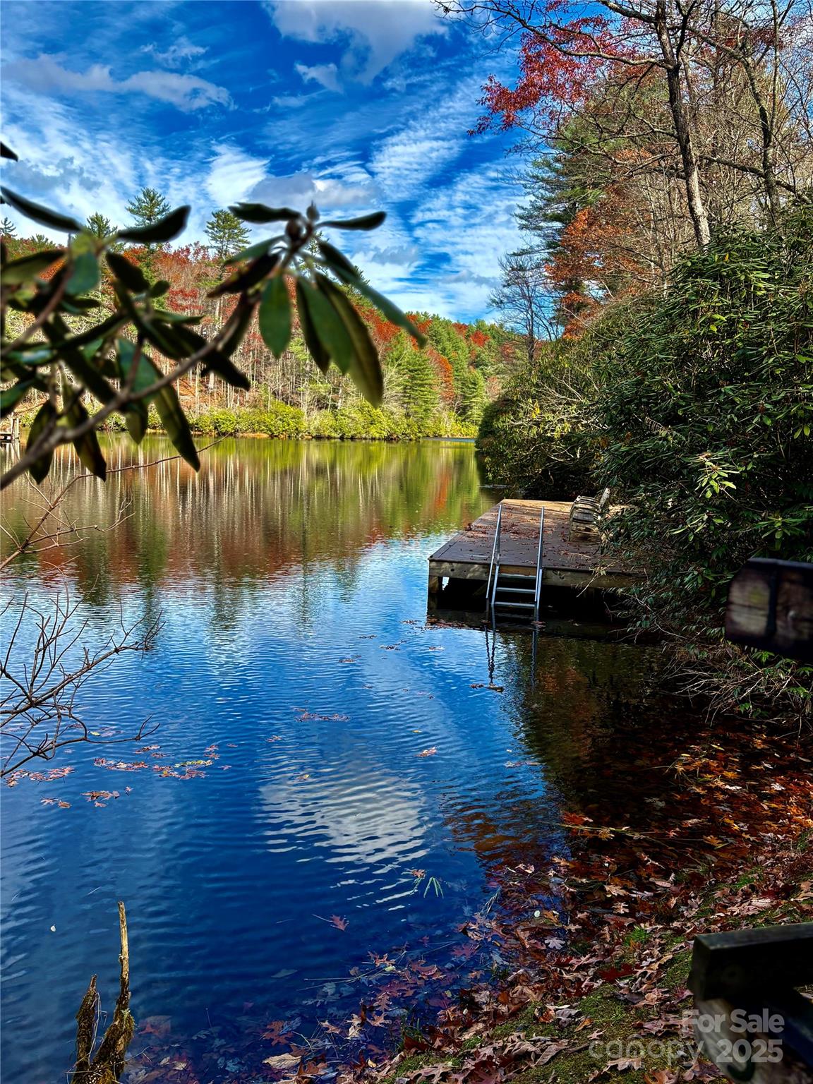 a view of a water pond with lots of trees