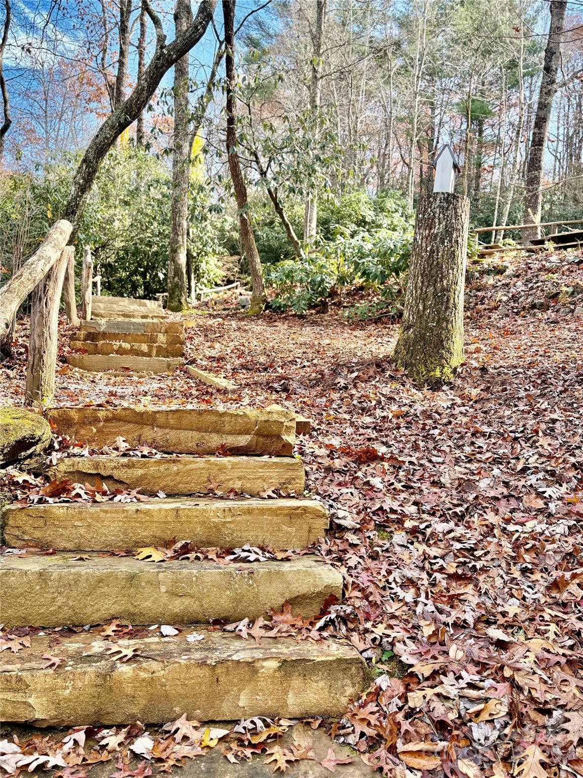 0 Hiwassee Road Lake Toxaway, NC 28747 - Photo 3 of 10