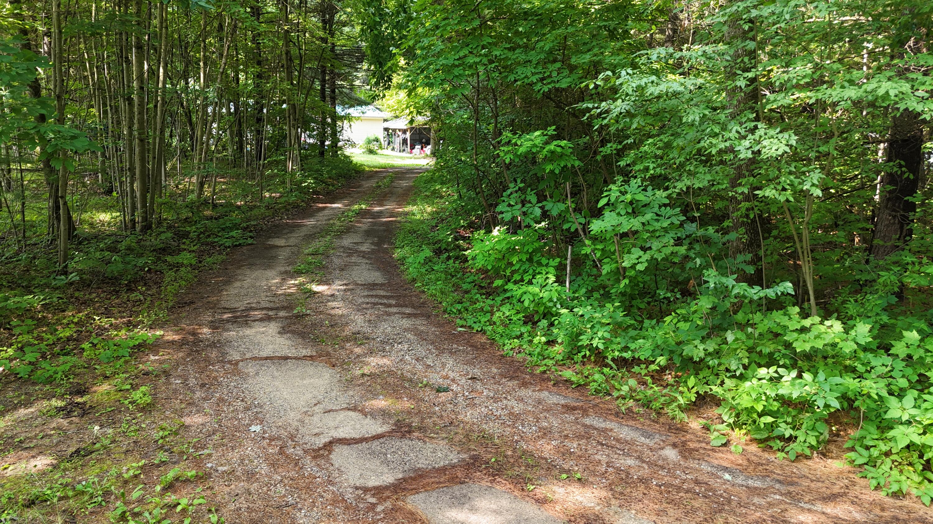 16039 Steinberg Road Wellston, MI 49689 - Photo 2 of 43 16039 Steinberg