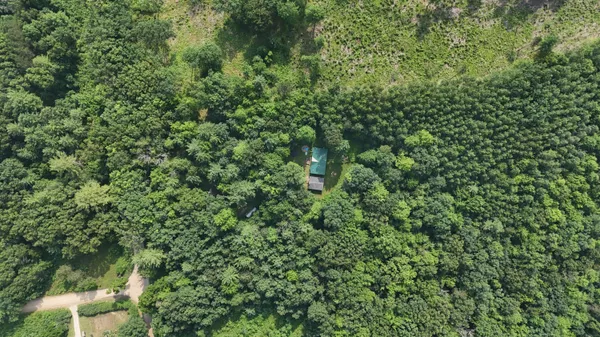 $215,500 | 16039 Steinberg Road, Wellston, MI 49689