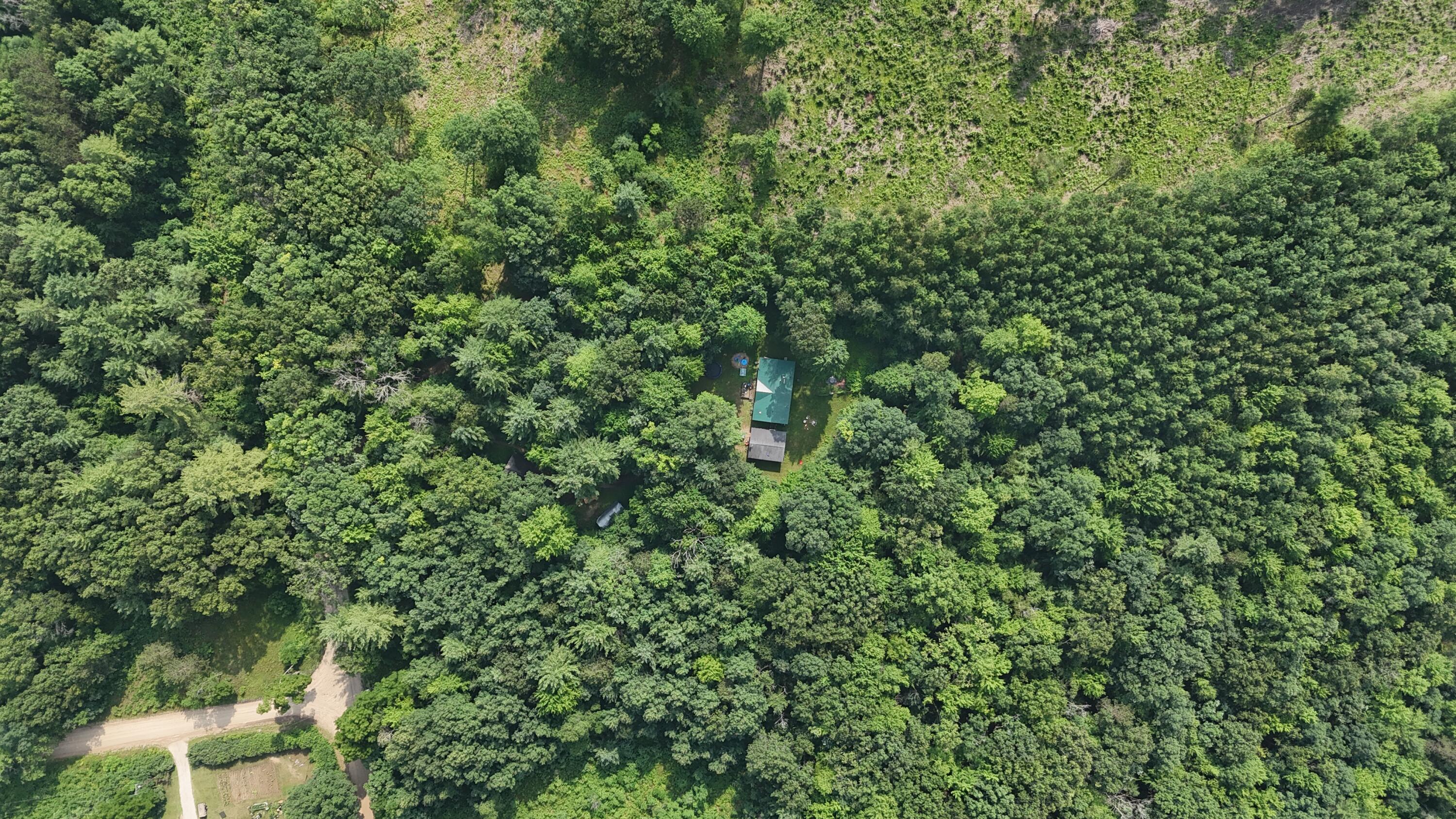 16039 Steinberg Road Wellston, MI 49689 - Photo 27 of 43 16039 Steinberg