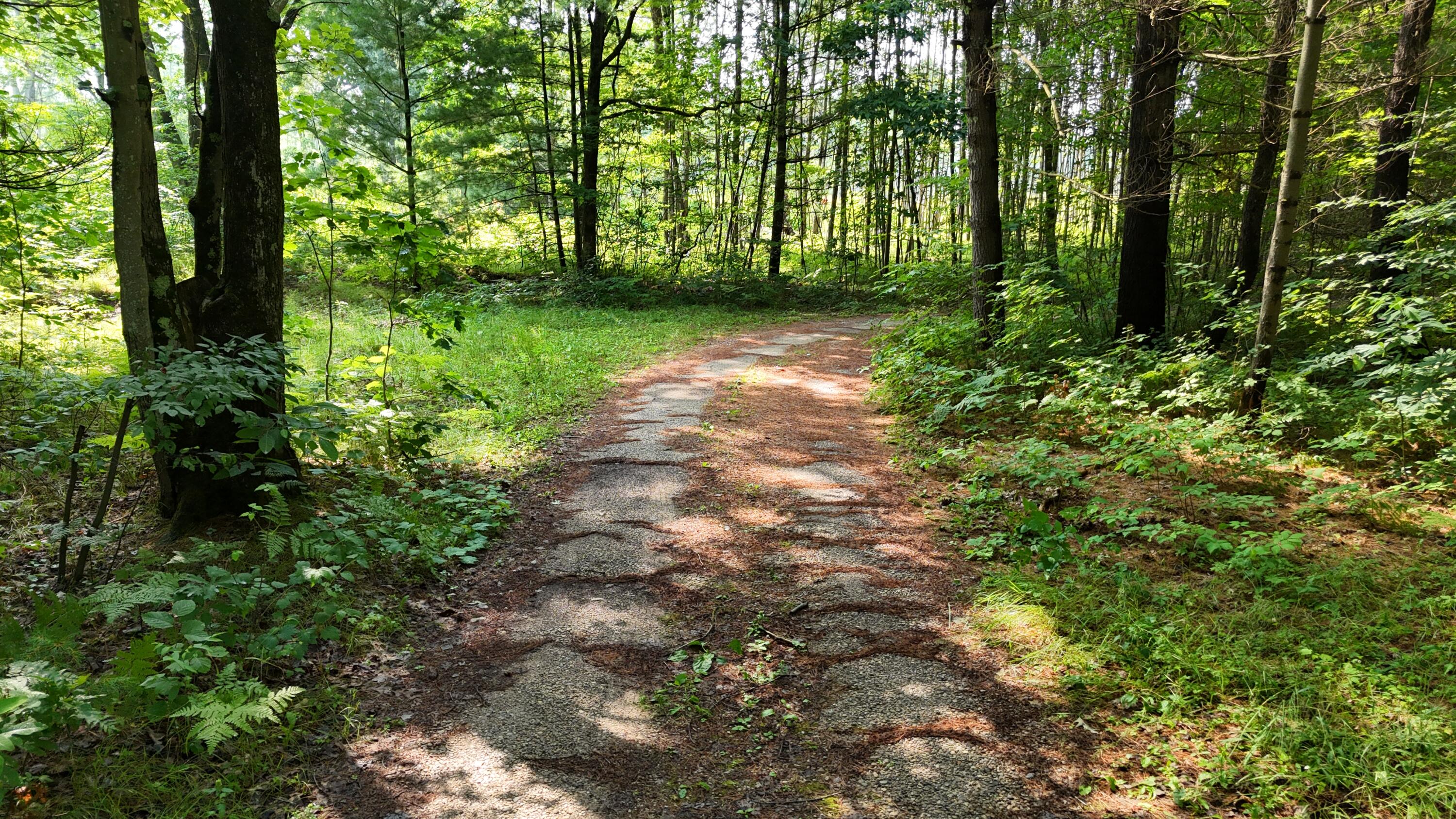 16039 Steinberg Road Wellston, MI 49689 - Photo 28 of 43 16039 Steinberg