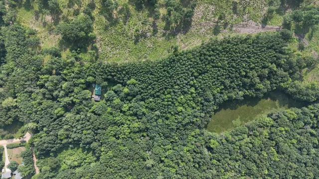 $219,000 | 16039 Steinberg Road, Wellston, MI 49689