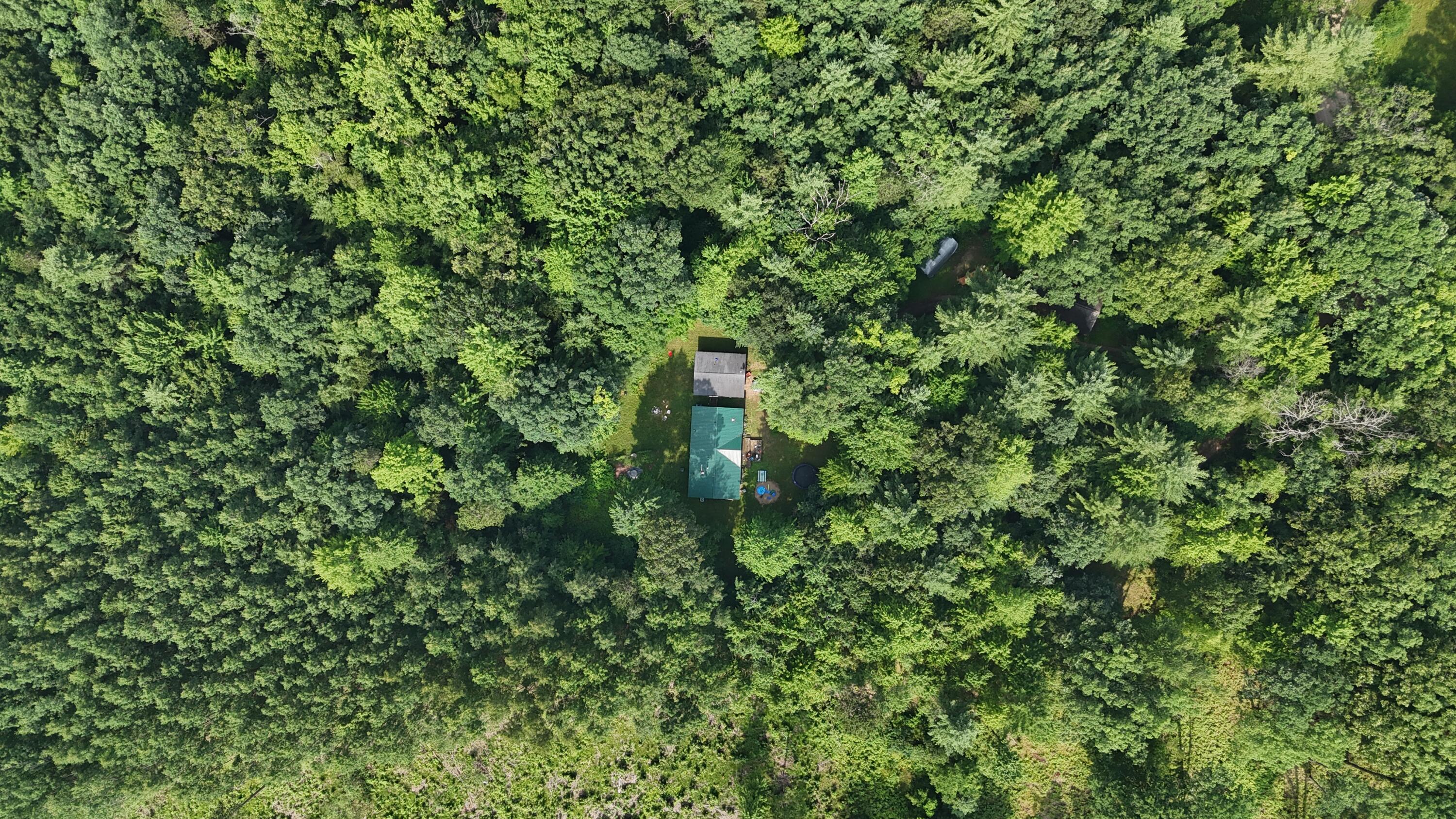 16039 Steinberg Road Wellston, MI 49689 - Photo 32 of 43 16039 Steinberg