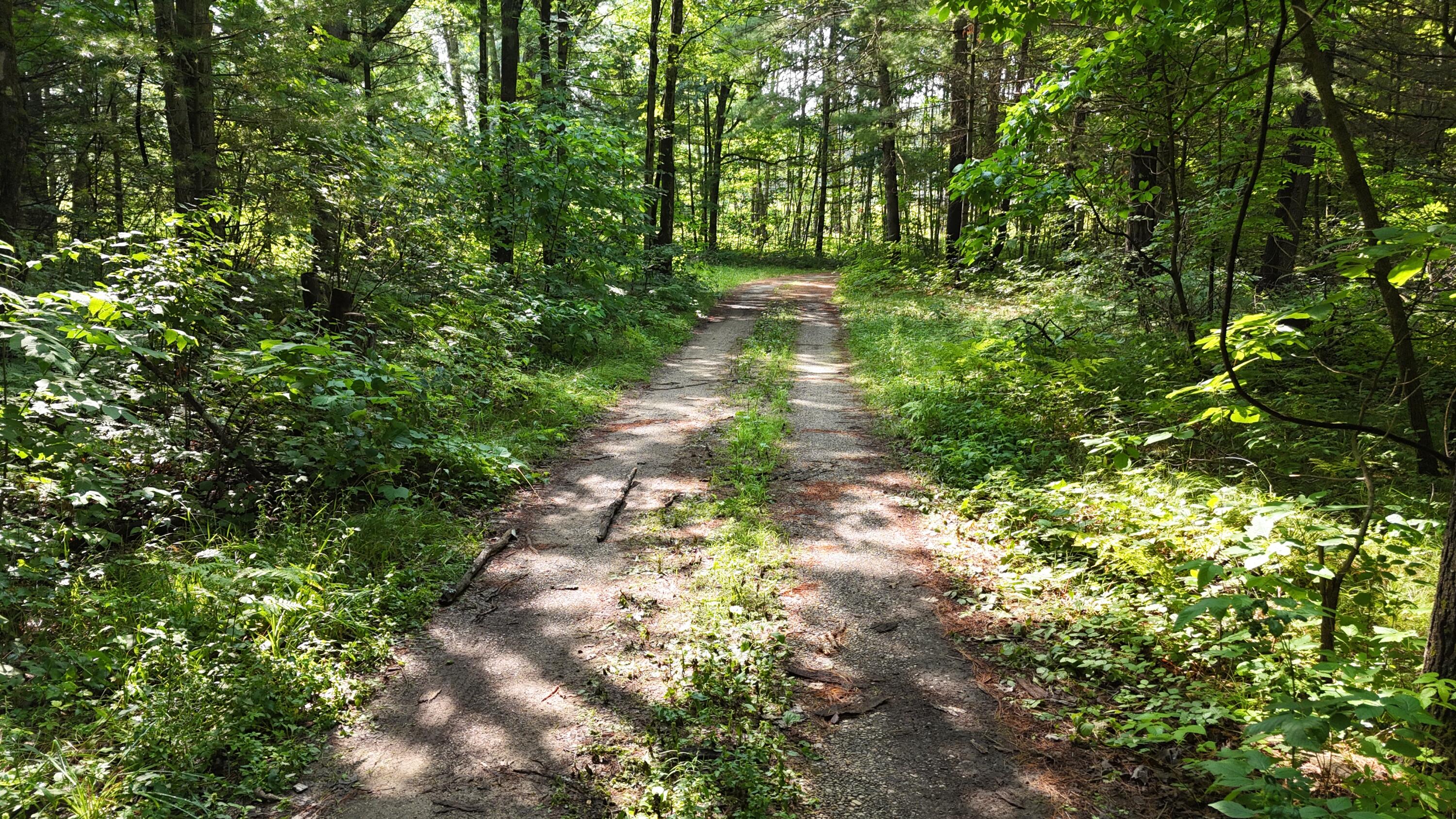 16039 Steinberg Road Wellston, MI 49689 - Photo 37 of 43 16039 Steinberg