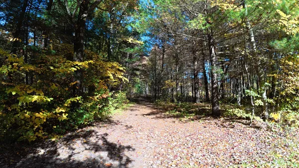 $215,500 | 16039 Steinberg Road, Wellston, MI 49689