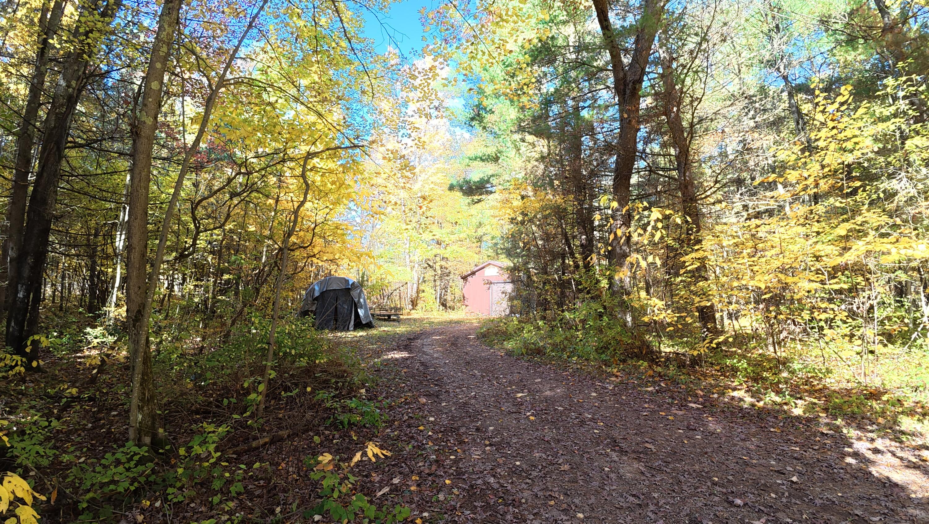 16039 Steinberg Road Wellston, MI 49689 - Photo 43 of 43 dji_mimo_20251020_144354_0_1760986920137