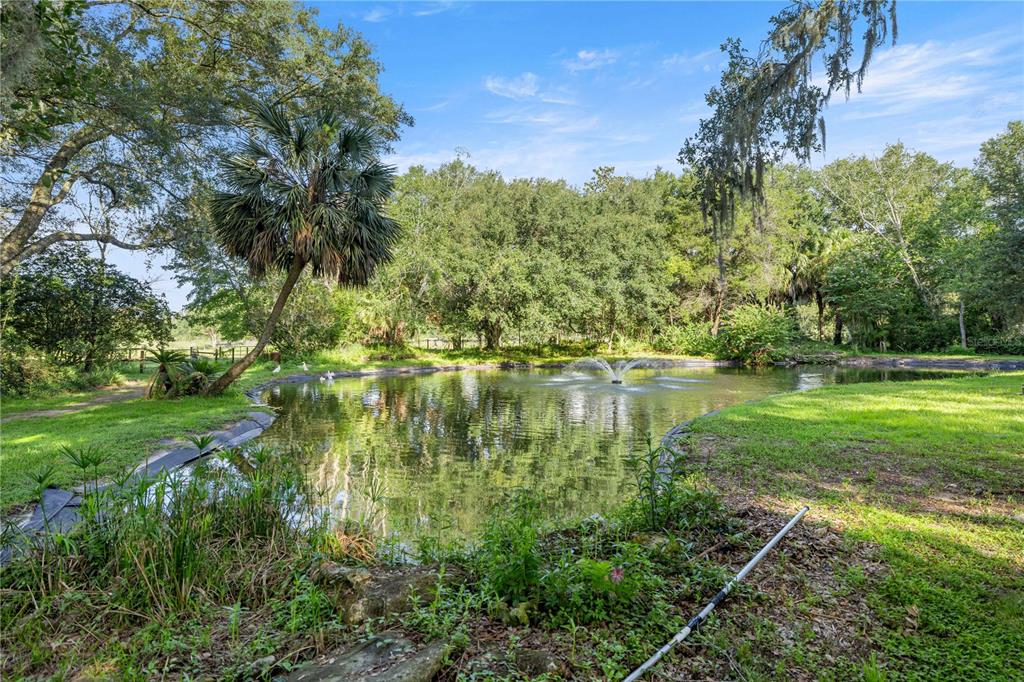 16250 Southwest 20th Avenue Road Ocala, FL 34473 - Photo 48 of 75