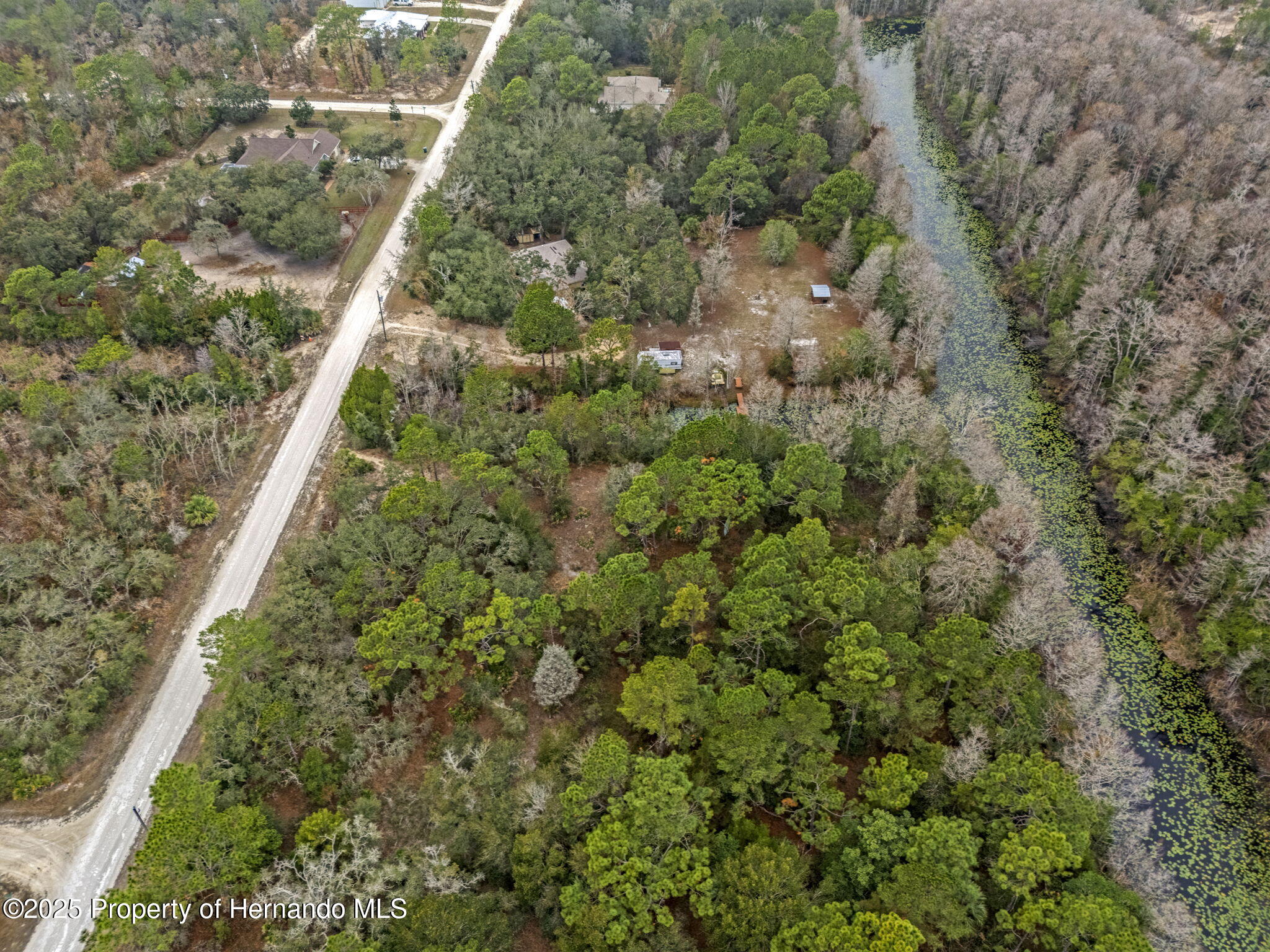 0 Yellowback Road Weeki Wachee, FL 34614 - Photo 12 of 14