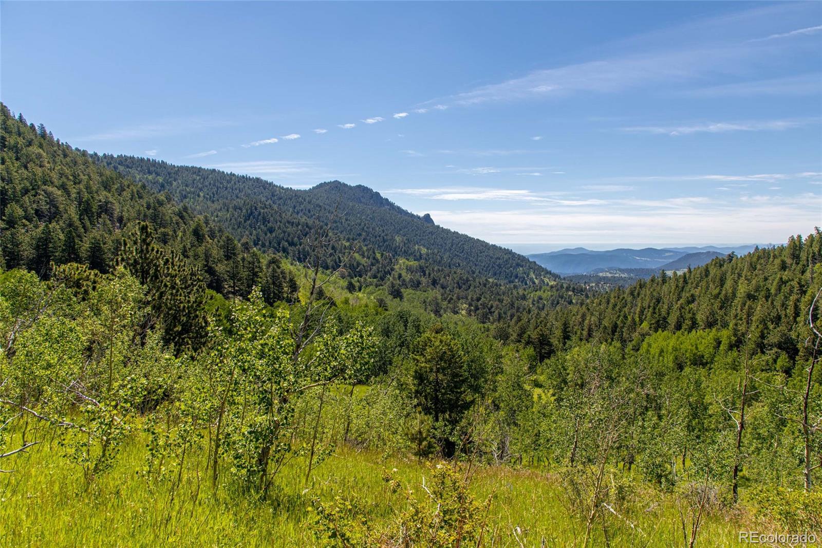 Red Tail Road Golden, CO 80403 - Photo 2 of 8