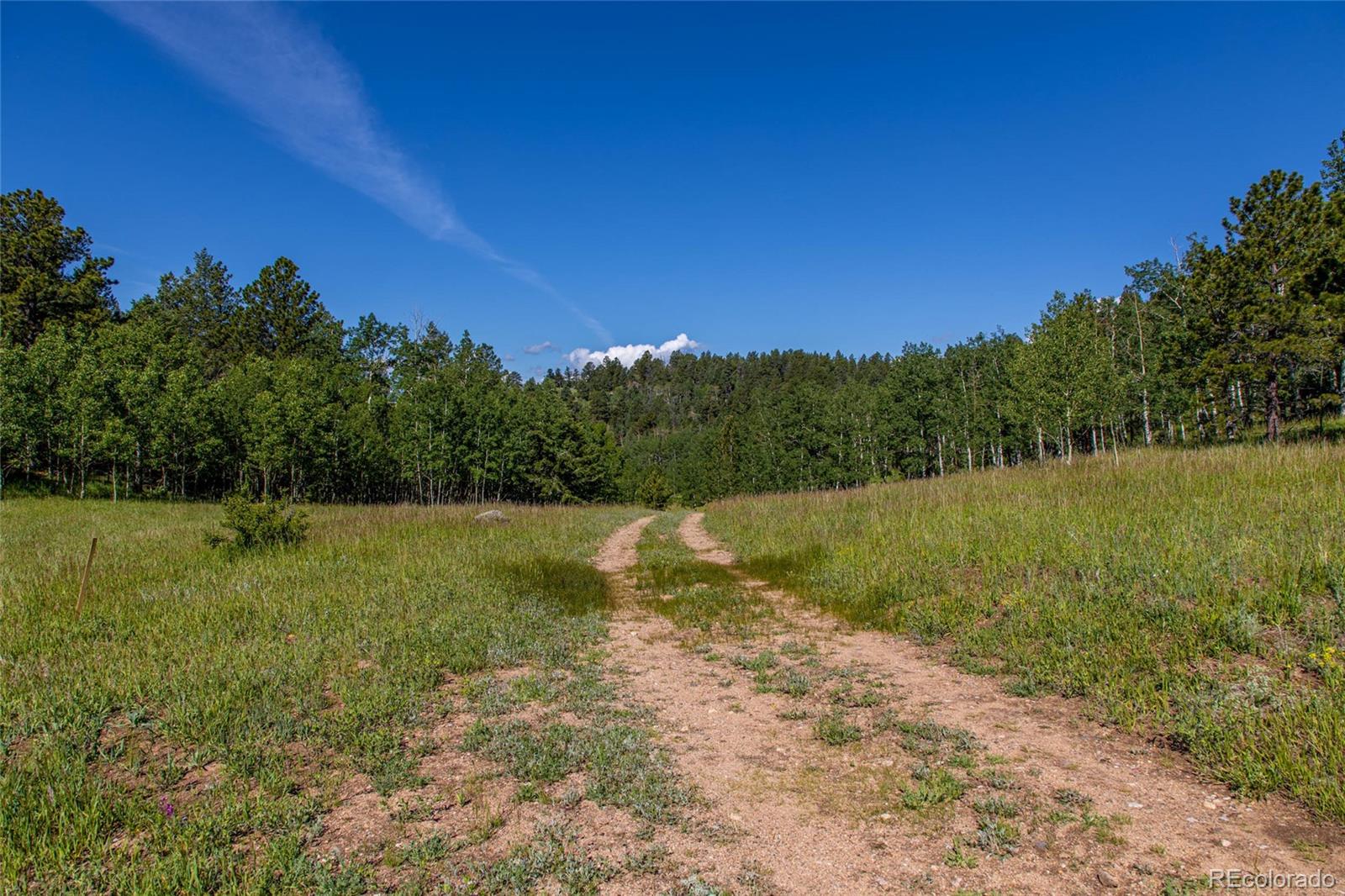 Red Tail Road Golden, CO 80403 - Photo 6 of 8