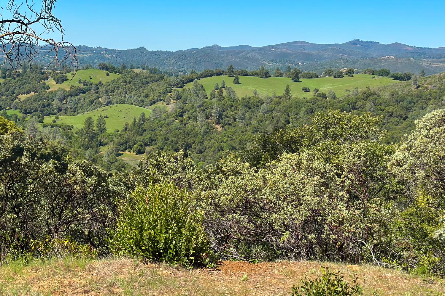 a view of a lush green hillside and a building