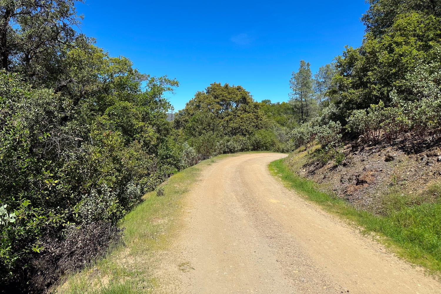 6652 Pappalardo Promenade Murphys, CA 95247 - Photo 12 of 31