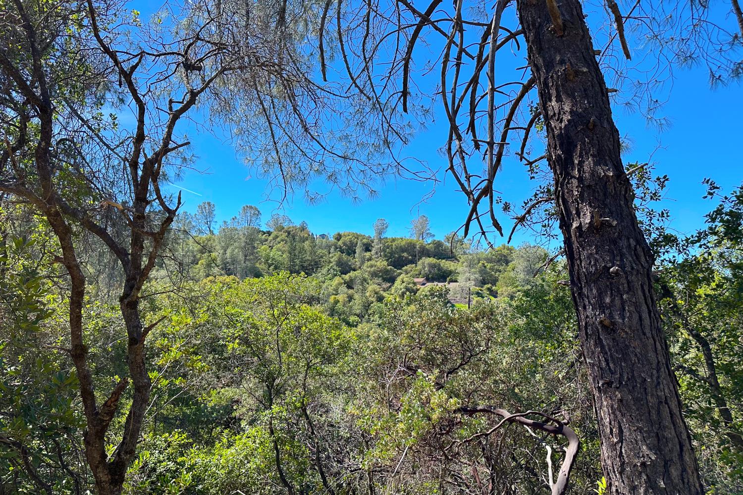 6652 Pappalardo Promenade Murphys, CA 95247 - Photo 13 of 31