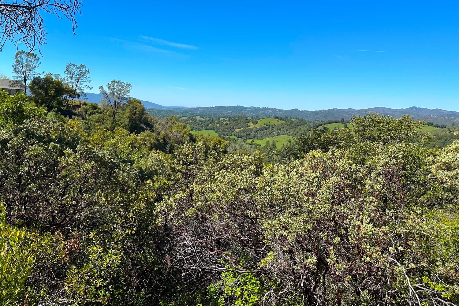 6652 Pappalardo Promenade Murphys, CA 95247 - Photo 16 of 31 a view of a city with a mountain in the background