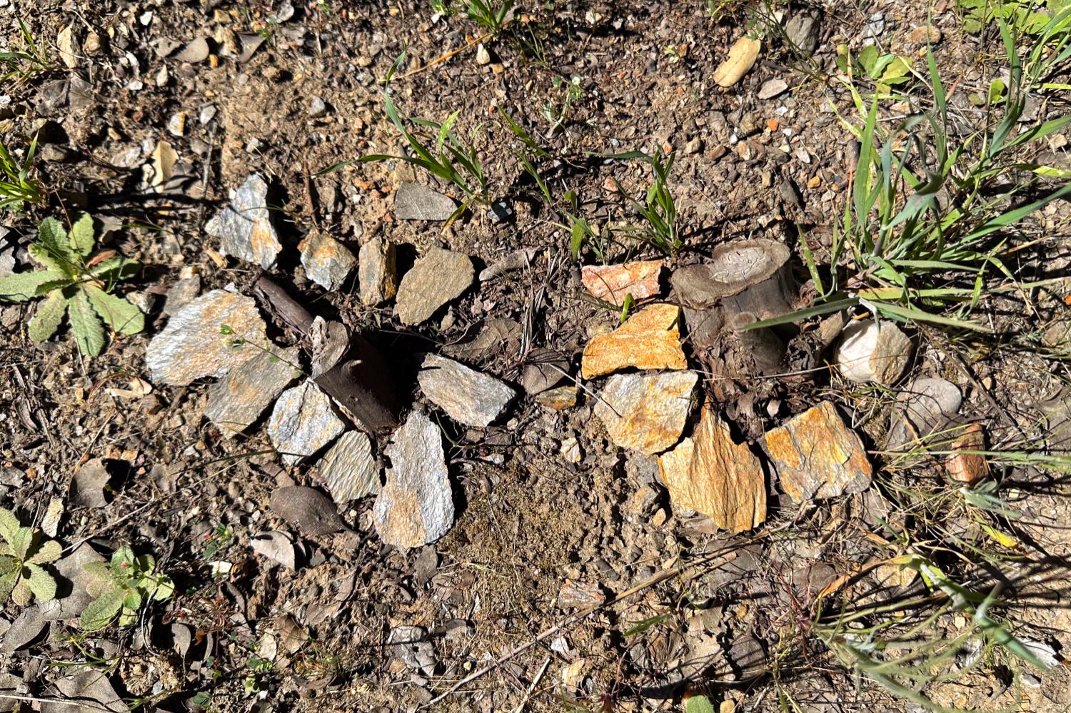 6652 Pappalardo Promenade Murphys, CA 95247 - Photo 18 of 31