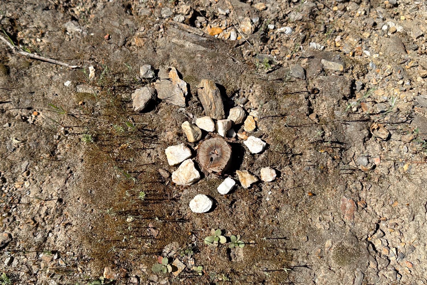 6652 Pappalardo Promenade Murphys, CA 95247 - Photo 19 of 31