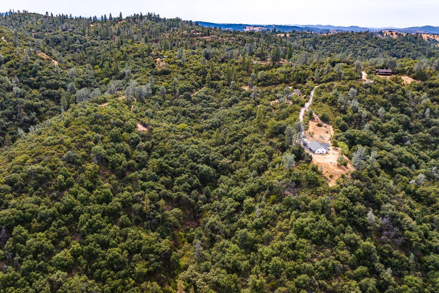 6652 Pappalardo Promenade Murphys, CA 95247 - Photo 22 of 31 a view of a green field